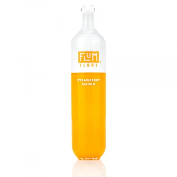 Flum Float Disposable Vape (5%, 3000 Puffs)